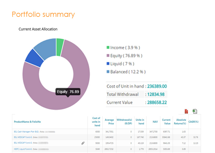 portfolio summary / Holding statement